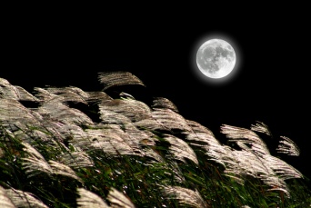 10月2日早朝に満月がやってくる！今月は満月が2回。1回目は十五夜の直後の「ハーベストムーン」