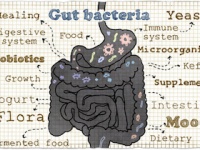 ネガティブな性格は腸内細菌の影響か？（depositphotos.com）