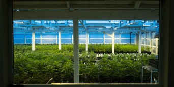 「Doctors Me（ドクターズミー）」コラム画像