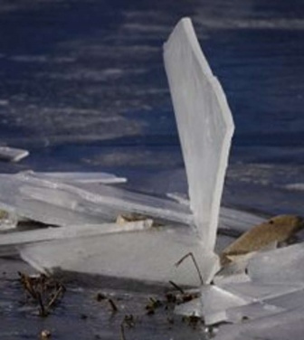 正体は？（画像はkannagi＿ts＠kannagi＿tsさんの投稿より）