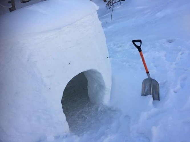 画像はイメージ