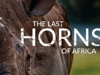 特定非営利活動法人イマジンのプレスリリース画像