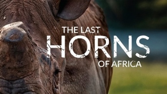 特定非営利活動法人イマジンのプレスリリース画像