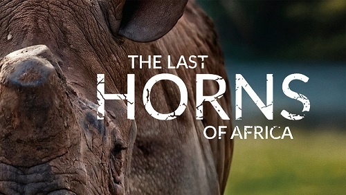 特定非営利活動法人イマジンのプレスリリース画像