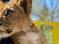 ノースサファリサッポロの公式Xより