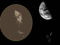 NASAの宇宙飛行士が地球外生命体の有機物を見ていた可能性！？