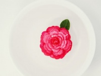 「サボる」の言い換え表現とは？