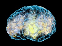 あえて楽しくなることをしない。シリコンバレーの最新トレンド「ドーパミン断食」とは？