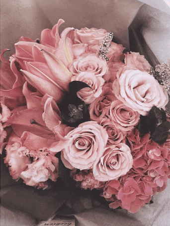 インスタグラム：ダレノガレ明美(@darenogare.akemi)より