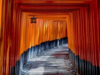【京都】浄化におすすめのパワースポット10選！