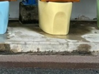 バス停にむき出しで並ぶ〝カラフル便器〟の正体は...　愛知・常滑市に衝撃の光景が爆誕してた