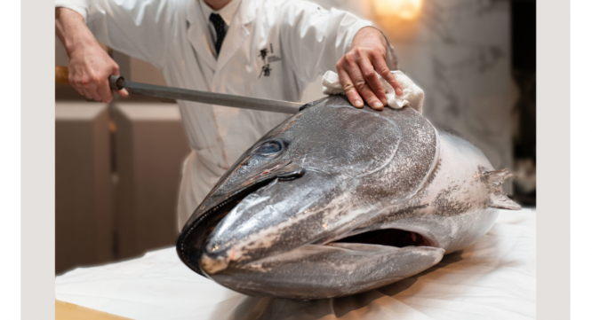 みなとみらいPRセンターのプレスリリース画像