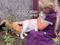 大好きな少女に我が子を紹介しにきた母猫、その甘い関係に心がほんわか温まる