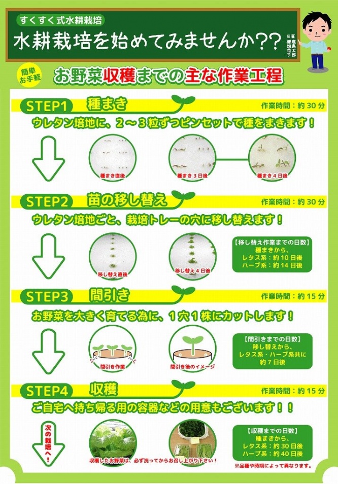 すくすく式水耕栽培（鹿島建物総合管理提供）