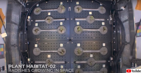 スクリーンショット-(2893)