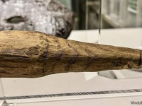 こ、これは！？古代ローマの砦から男性器を模した木製の彫刻を発見、大人の玩具である可能性