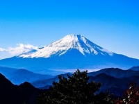 富士山の日に一言