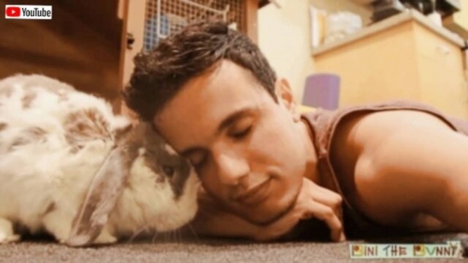 【訃報】才能豊かなアーティストであり、ちょっぴり怒りん坊だったウサギのビニ、虹の橋へと旅立つ