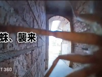 Amazonの配達員による無料サービスは「巨大蜘蛛を退治」