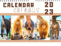 猫のふぐりを愛でたい人のための2023年猫ふぐりカレンダー