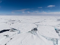 南極の氷の下では頻繁に地震が起きている。南極の地震を観測することでプレート活動を理解しようという試み（米研究）