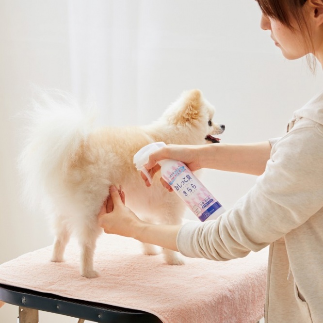 新日本カレンダー株式会社のプレスリリース画像