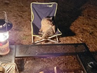 我が物顔とはこのこと（写真はDJ cabheyさんのツイートより）