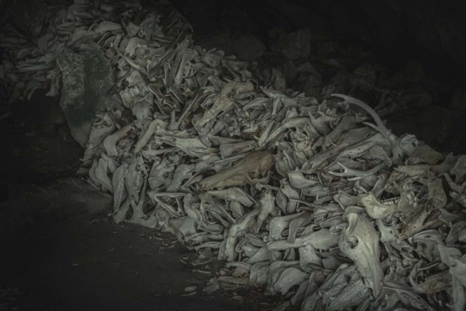 猟の成功を祈って猪の骨を奉納するそう