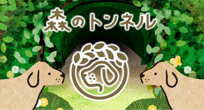 株式会社ビューティーワールドのプレスリリース画像