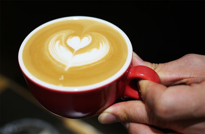 cafe2