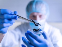 喉に不快感を覚えた男性、生きたヒルが張り付いていたことが判明