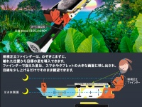 光と色彩の能力テストTOCOLのプレスリリース画像