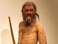 約5300年前のミイラ、エッツィ（アイスマン）は最後の日々をどう過ごしたのか？コケ類の分析で新事実が判明