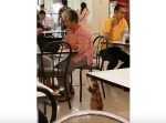 「ご飯くれよ〜！」フードコートにてご飯をねだる猫が可愛らしい…！
