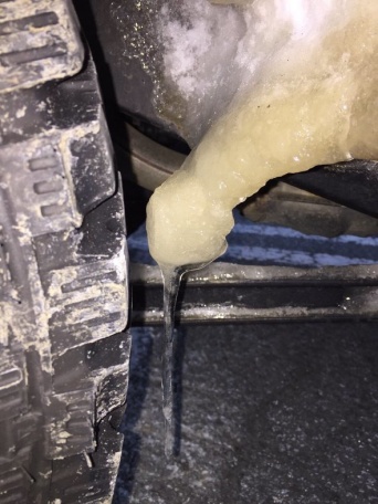 髙梁直導さん（＠nao_nj1856）のツイート