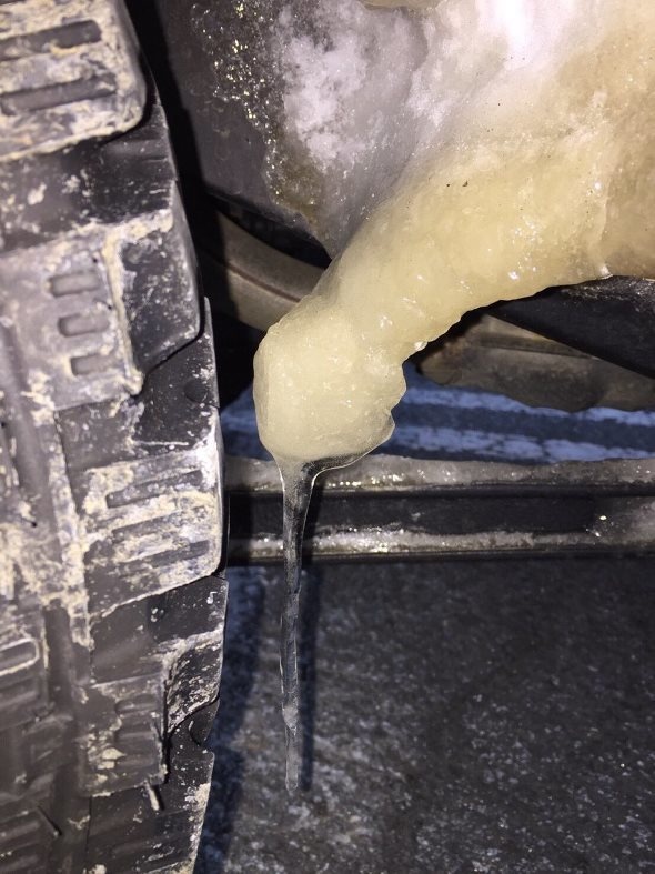 髙梁直導さん（＠nao_nj1856）のツイート