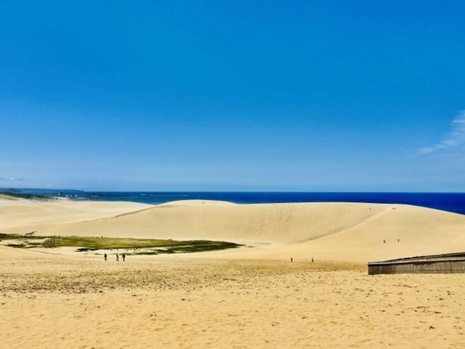 鳥取砂丘(photoACより)