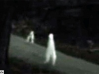 腕のない灰色のクリーチャーが2本足で歩き回る。全米各地で目撃例がある「ナイトクローラー」とは？