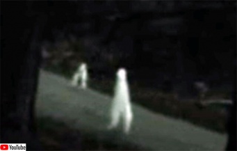 腕のない灰色のクリーチャーが2本足で歩き回る。全米各地で目撃例がある「ナイトクローラー」とは？