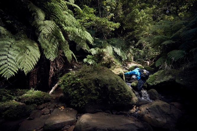 星野リゾートのプレスリリース画像