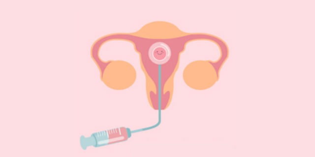 子宮に受精卵を移植する