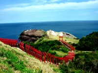 ​入れにくい賽銭箱が話題に。外国人にも人気