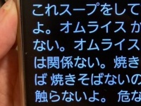 〝2歳男児 VS 母のバトル〟に3.3万人爆笑　スマホが勝手に「文字おこし」してた会話がコチラです