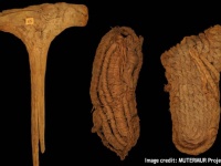 コウモリの洞窟の中で発見された6200年前のサンダル。ヨーロッパ最古のもの