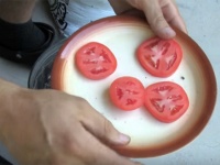 何これちょっと試したい。トマトを栽培する最も簡単な方法、トマトと土があればいい。