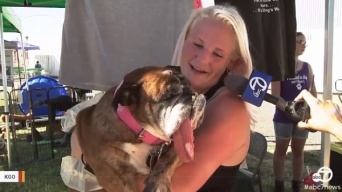 「世界一醜い犬コンテスト」で優勝したブルドッグが亡くなり、飼い主がコメント「美しい顔を見た瞬間、永遠の家族になると直感」