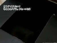 黒すぎて見えない！存在自体がブラックホールな黒猫