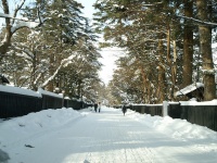 雪の角館。写真はイメージです（Hideyuki KAMONさん撮影,flickrより）
