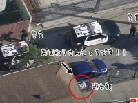 リアル逃走中。すぐそばの車の後ろに隠れた窃盗犯に気が付かない警官たちの右往左往