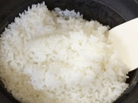 炊飯器でお米を美味しく炊きたい方必見！